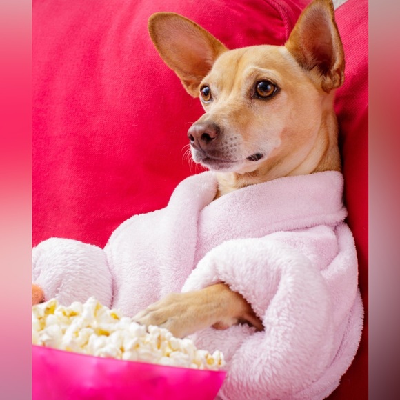 Watch videos on our listings so you can see what you are purchasing. 💖🐩🐶🌻♥️ - Picture 5 of 7